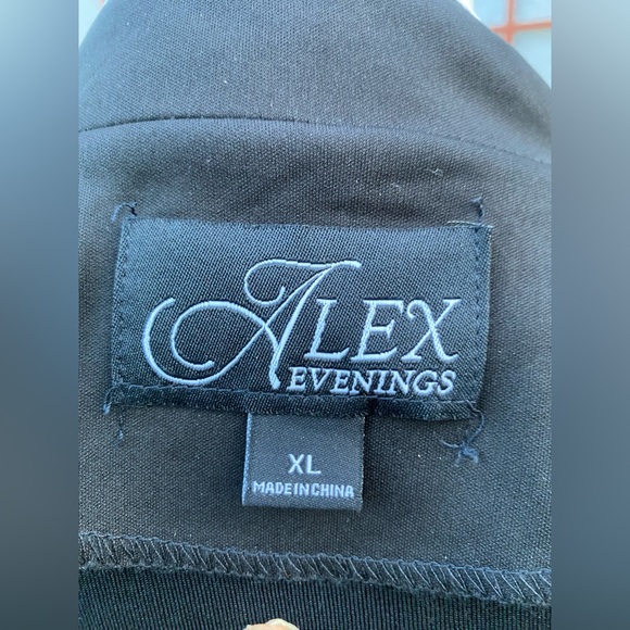 SOLD!! Alex Evenings plus size sequined twinset - Picture 4 of 4